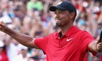 Tiger Wood vô địch Tour Championship, Justin Rose thắng FedEx Cup