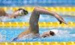 Kình ngư Ánh Viên được coi là “viên ngọc quý” của thể thao Việt Nam nhưng đã không có được sự đầu tư đúng hướng cho đấu trường châu lục và thế giới Ảnh: GETTY IMAGES 