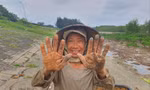 Mưu sinh trong rừng mới