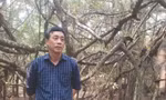 Muốn xuất khẩu văn chương phải có những gì?