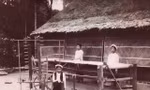 Hồn quê từ những làng nghề - Bài cuối: Ký ức tấm lụa Hạ nuôi người khoa bảng 