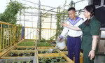 'Tổ quốc nhìn từ biển…': Niềm tin và khát vọng 