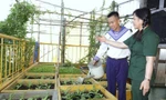 'Tổ quốc nhìn từ biển…': Niềm tin và khát vọng 