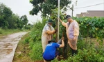Sinh viên TPHCM thắp sáng đường quê 