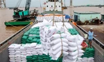 Doanh nghiệp Việt phá giá, giành đơn xuất khẩu gạo? 