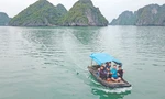 Bồng bềnh cùng vịnh Hạ Long 