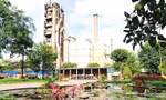 Cty Cổ phần Xi măng Bút Sơn xanh hóa nhà máy