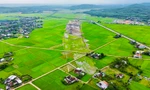 Quảng Ngãi kiến nghị chuyển mục đích sử dụng gần 169 ha đất để làm cao tốc