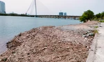 Bằng mọi giá phải hốt hết đất đá lên khỏi sông Hàn