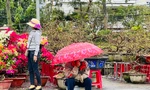 Chợ hoa lớn nhất Quảng Ngãi ế ẩm, tiểu thương co ro trong gió lạnh