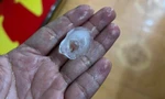 Xuất hiện mưa đá ở huyện miền núi Quảng Ngãi sau đợt nắng nóng gay gắt