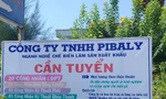Hai doanh nghiệp bị truy thu và xử phạt hơn 4 tỷ đồng vì vi phạm thuế