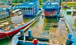 Quảng Ngãi xóa tên 244 tàu trong sổ đăng ký tàu cá quốc gia