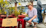 Chợ hoa Tết ế ẩm chưa từng có, tiểu thương treo biển 'xả hàng' nhưng vẫn không có người mua