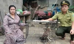 Nhặt được chim quý nặng 1,5kg, người phụ nữ giao nộp ngay cho kiểm lâm