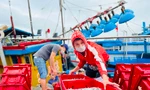 Một đêm ra khơi ngư dân Quảng Ngãi sắm được... 1 chỉ vàng