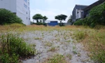 Đà Nẵng đấu giá lô đất 'vàng' liên quan đến Phan Văn Anh Vũ thu gần 360 tỷ đồng