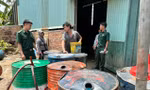 Tạm giữ hơn 2.000 lít dầu DO không rõ nguồn gốc