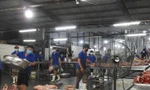 Công ty chế biến thực phẩm Đà Nẵng bị phạt hơn 180 triệu đồng
