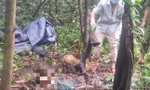 Phát hiện bộ hài cốt người trong rừng sâu Quảng Ngãi