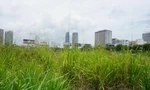 Đà Nẵng rà soát loạt dự án được giao đất nhưng... bỏ hoang