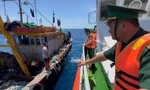 Tạm giữ 2 tàu khai thác tận diệt hải sản ở vùng biển Quảng Ngãi