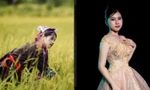 Nữ sinh Đại học Thương mại đa tài và hành trình chạm tới ước mơ
