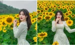 Nữ sinh Đại học Vinh khoe bộ ảnh trên cánh đồng Hoa Hướng Dương rực rỡ