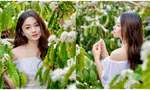 Vẻ đẹp trong veo của nàng mẫu Đăk Lăk trong rừng cà phê mùa hoa nở