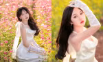 Nàng mẫu ảnh Gia Lai khoe nhan sắc giữa cánh đồng hoa cánh bướm
