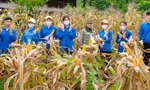 Một mùa hè xanh đầy ý nghĩa của CLB Sinh viên tình nguyện Đại học Thái Nguyên