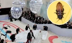 Showbiz 2/5: Con gián trở thành chủ đề nóng tại Met Gala 2023