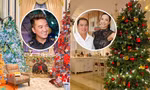 Nhà sao Việt ngợp sắc màu Noel: Đàm Vĩnh Hưng, Thúy Hạnh chi khủng mua đồ trang trí