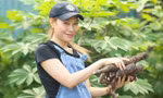 Chỉ vì một tấm hình, Mỹ Tâm phải lên tiếng trước nghi vấn mang bầu