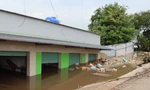 Sạt lở kinh hoàng nhấn chìm 5 căn nhà xuống sông Cần Giuộc