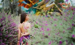 Ngắm loài hoa cùng tên với tiểu thuyết kiếm hiệp của nhà văn Kim Dung
