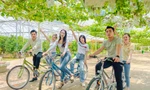 Bạn trẻ thích thú hái nho, chụp ảnh với đàn cừu dịp cuối tuần