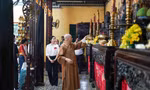 Về nguồn giữa lòng thành phố