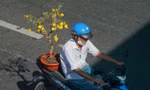 30 Tết: 'Nhiều khách chỉ hỏi rồi đi, mong bán được hoa kiếm tiền tiêu Tết nhưng khó quá'
