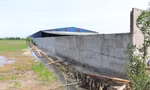 Khởi tố giám đốc công ty gây ô nhiễm môi trường