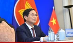 Bộ trưởng Bùi Thanh Sơn dự Hội nghị Bộ trưởng Ngoại giao ASEAN - Trung Quốc ngày 3/8. (Ảnh: Mofa)