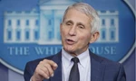 TS Anthony Fauci. (Ảnh: AP)