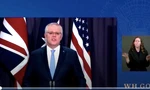 Thủ tướng Úc Scott Morrison trong cuộc họp trực tuyến công bố cơ chế đối tác mới