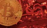 Giá Bitcoin đạt mức cao kỷ lục trong ngày 20/10