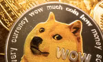Hình ảnh đồng dogecoin. (Ảnh: Reuters)