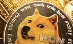 Hình ảnh đồng dogecoin. (Ảnh: Reuters)