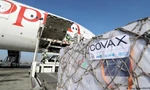 COVAX đang phân phối để bảo đảm các quốc gia nghèo được tiếp cận vắc-xin. (Ảnh: Reuters)