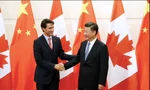 Thủ tướng Canada Justin Trudeau trong một dịp gặp Chủ tịch Trung Quốc Tập Cận Bình. (Ảnh: Reuters)
