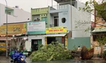 Cây đổ, đường phố TPHCM mênh mông nước sau mưa lớn