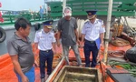 Cảnh sát biển phát hiện tàu cá vận chuyển 80.000 lít dầu D.O trái phép 